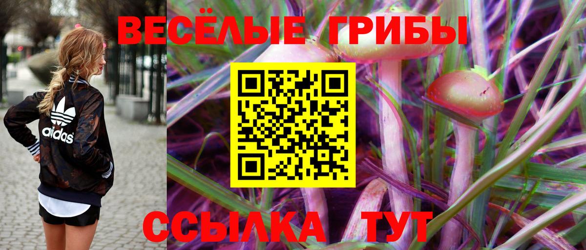 Галлюциногенные грибы Psilocybine cubensis Добрянка