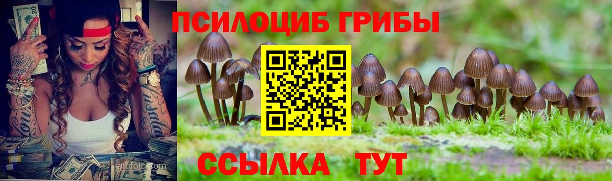 Добрянка  Галлюциногенные грибы Cubensis  Вход с VPN 